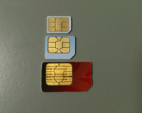 minisim microsim